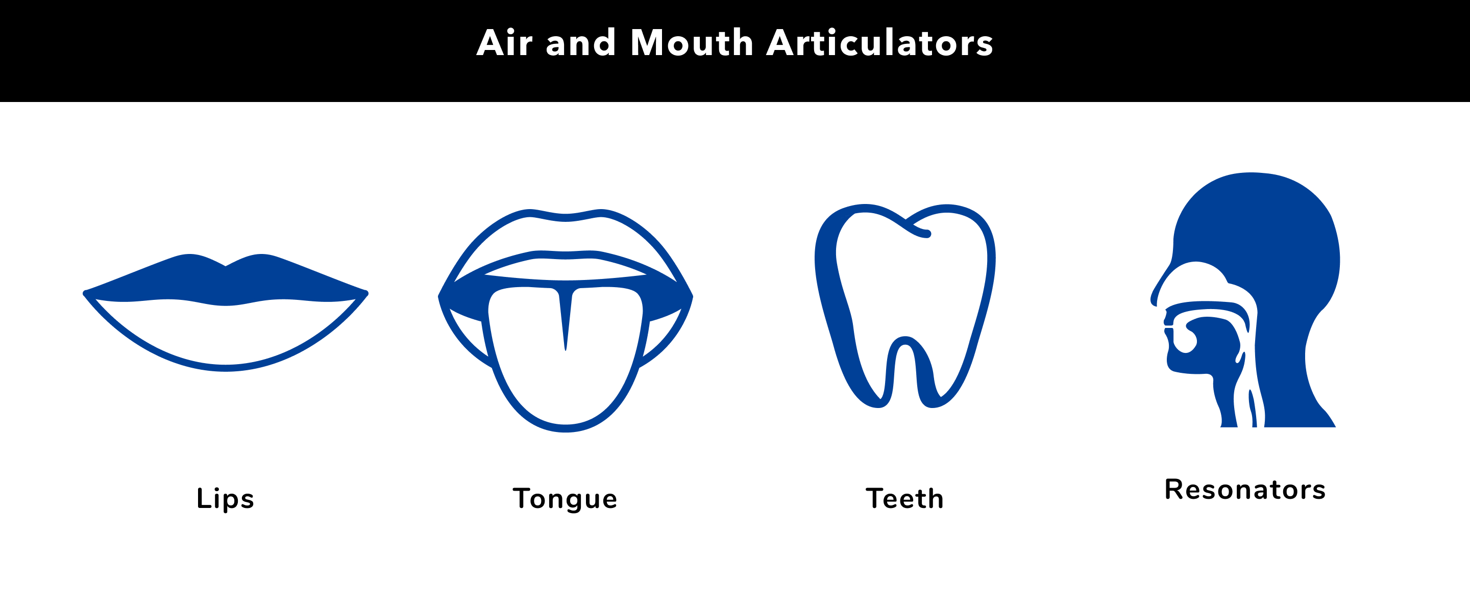 Air and Mouth Articulators